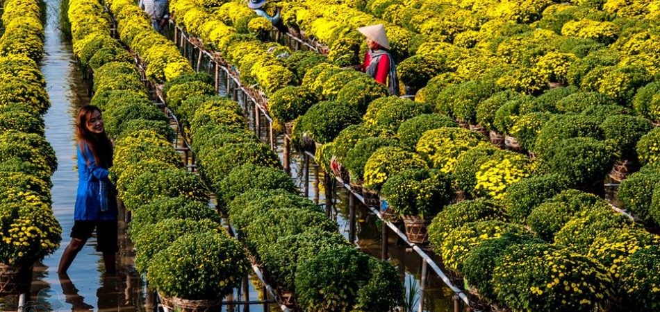 Phototrip - cho hoa Sa Dec